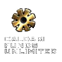 Caldari Funds Unlimited.png