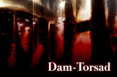 Dam-Torsadthumb.jpg